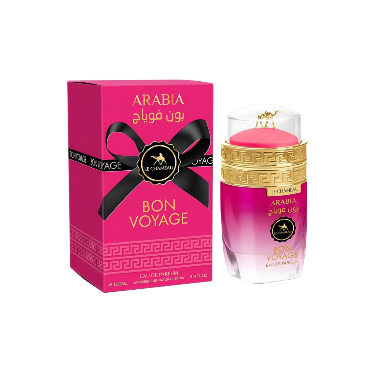 LE CHAMEAU ARABIA BON VOYAGE · EMPER